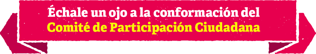 Comité de participación ciudadana