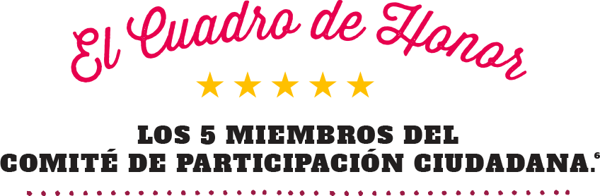 los 5 miembros del comité de participación ciudadana