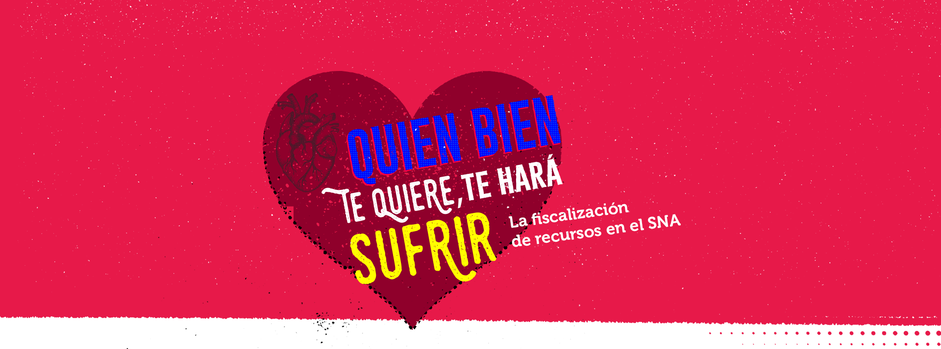 La fiscalización de recursos en el SNA