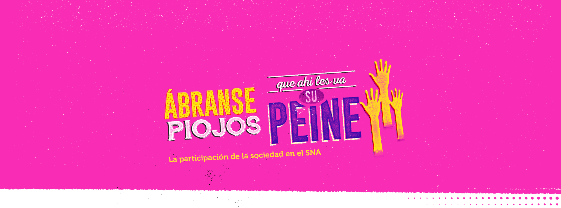 La participación de la sociedad en el SNA